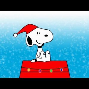 Meet your Posher, Danaeja